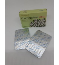 Concentrazione attiva