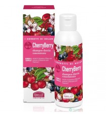 Helan I Sorbetti CherryBerry - Shampoo e Bagnoschiuma Uomo e Donna Concentrato con Vitamina C, Mandorle Dolci e Ribes Nero, Docc