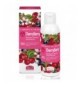 Helan I Sorbetti CherryBerry - Shampoo e Bagnoschiuma Uomo e Donna Concentrato con Vitamina C, Mandorle Dolci e Ribes Nero, Docc