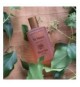 L'Erbolario Tè Nero Profumo Unisex - Eau de Parfum - Adatto come Profumo Uomo e Profumo Donna - Fragranza Floreare e Ambrata - M
